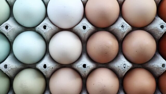 Lot of different color chicken eggs arranged by color on paper egg box. All sorts of colors: blue, green, white, beige, brown. From natural organic farm. Minimal above view.