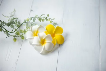 Fotobehang 白い背景とプルメリアの花 © 歌うカメラマン