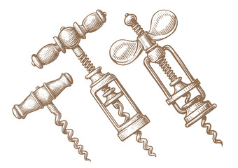 Hand drawn corkscrew in engraving style. Vintage style. Sketch vector illustration