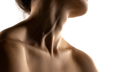 The close-up of a young woman's neck and shoulders in the shadow on white background - obrazy, fototapety, plakaty