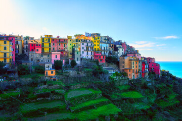 Stunning view of Corniglia village in Cinque Terre National Park, beautiful cityscape with colorful houses and green terraces on cliffs over a sea, Liguria region of Italy. Outdoor travel background
