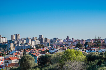 Tops of trees and branches of Bela Vista park with view to urban buildings in the parish of Alvalade and Areeiro, Lisbon PORTUGAL - obrazy, fototapety, plakaty