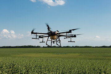 Agricultural technology smart farm concept. Farmer technicians remotely fly agricultural drones to fly to spray fertilizer in fields.