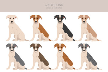 English greyhound clipart. Different poses, coat colors set