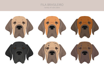 Fila Brasileiro clipart. Different poses, coat colors set