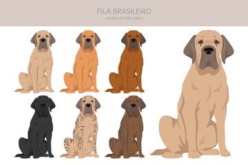 Fila Brasileiro clipart. Different poses, coat colors set