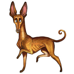 Cute Cirneco dell'Etna dog character funny cartoon illustration