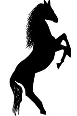 Fototapeta na wymiar black horse silhouette