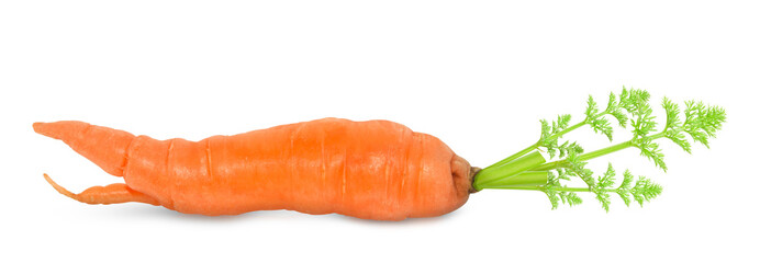 Fresh carrot isolated on white background, front view