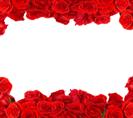 Frame made of red roses isolated. PNG transparency