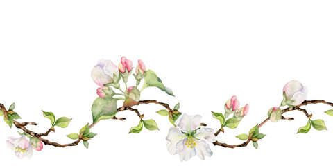 Obraz na płótnie Canvas Hand drawn watercolor apple flowers, branches and leaves, white, pink and green. Seamless horizontal banner. Isolated on white background. Design for wall art, wedding, print, fabric, cover, card.