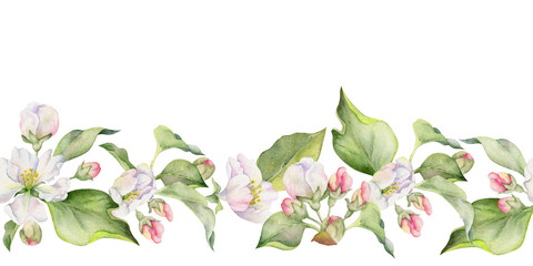 Hand drawn watercolor apple flowers and leaves, white, pink and green. Seamless horizontal banner. Isolated on white background. Design for wall art, wedding, print, fabric, cover, card.