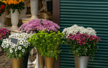 Fresh chrysanthemum flowers bouquet arrangement
