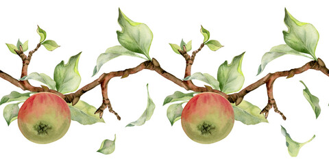 Hand drawn watercolor apple fruits, branches and leaves, red and green. Seamless horizontal banner. Isolated on white background. Design for wall art, wedding, print, fabric, cover, card.