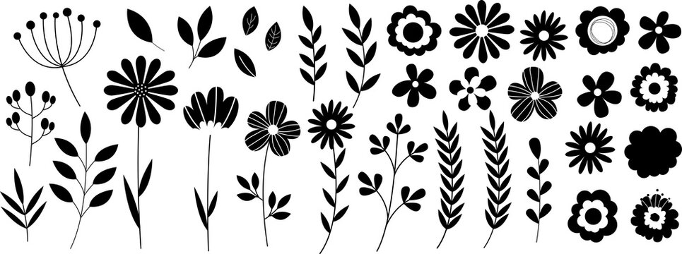 Flower elements. Doodle plants, leaves flowers and branches set. Illustration branch plant and flower silhouette on transparent background. PNG image