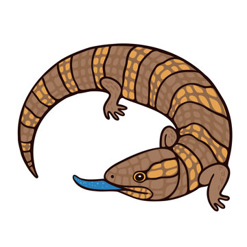 Cartoon brown lizard with blue tongue on white background