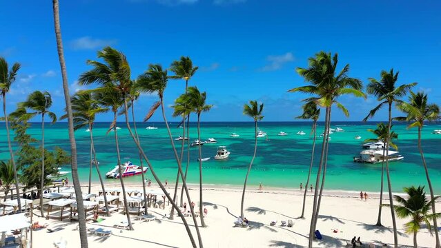 Panorama of turquoise Caribbean sea and clear blue sky through green coconut palm trees. Vacations on the best beach in the world