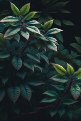 Close up of green plants leaves on black background created using generative ai technology