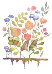 watercolor bouquet of flowers on a transparent background. Summer and spring pattern clipart. Greeting card for girls