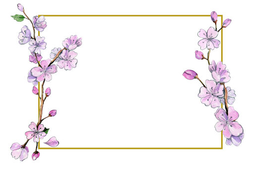 Spring sakura flowers are painted in watercolor on the frame. Pink cherry, horizontal rectangular golden frame isolated on white background.