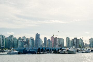 view of Vancouver skyline and Burrard Inlet from Stanley Park in autumn, Vancouver, British...