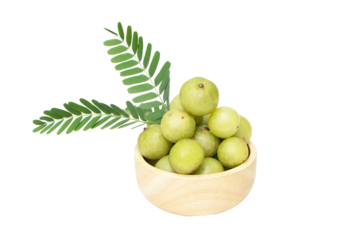 Indian gooseberry whole with leaves on the wood cup fruits Amla berry (phyllanthus emblica) Isolated on cutout PNG. Is fruit that is high in vitamin C. has medicinal value. Orally relieve colds
