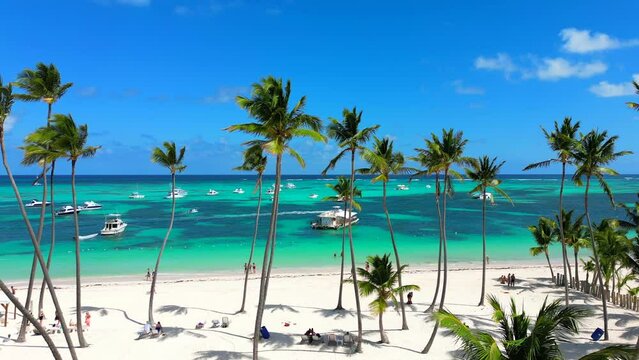 Aerial view of turquoise Caribbean sea and clear blue sky through green coconut palm trees. Tourists on the vacations walking on white sandy beach in Punta Cana