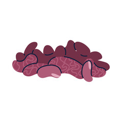 PNG image icon plate with red beans with transparent background