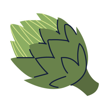 Artichoke PNG image icon with transparent background