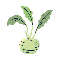 PNG image cooking herbs icon transparent background
