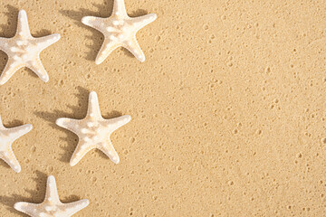 Sea stars on the sand. Seashells pattern.