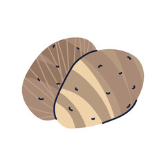Potato PNG image icon with transparent background