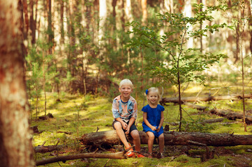 cute kids sitting together in forest and looking at camera. Cute children playing in woods.