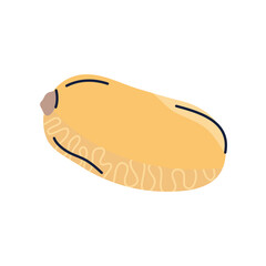 Sweet potato PNG image icon with transparent background