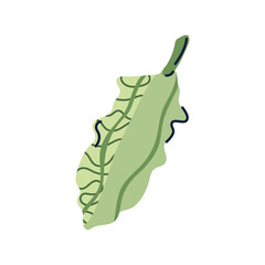 PNG image cooking herbs icon transparent background
