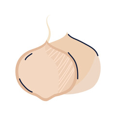png image onion icon on transparent background