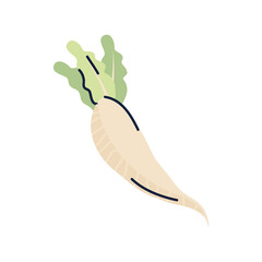 Ginseng PNG image icon transparent background