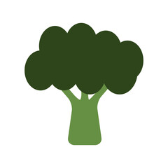 Broccoli PNG image icon with transparent background