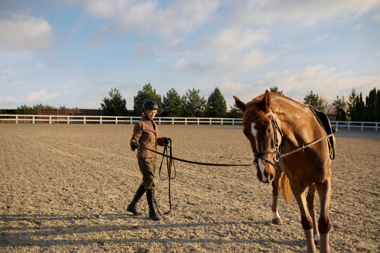 Woman rider training horse on outdoor sandy padlock