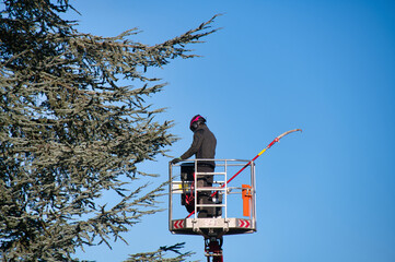 Baumpflegearbeiten vom Hubsteiger aus