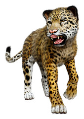 3D Rendering Big Cat Jaguar on White