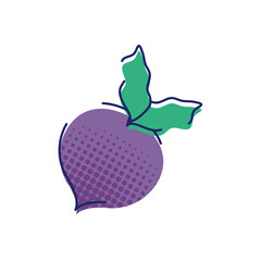 Beetroot PNG image icon with transparent background