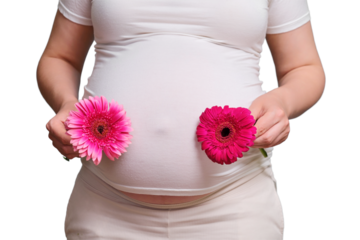 Two fetal pregnancy in a woman, studio shot isolated on a white background