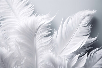 Fototapeta na wymiar Full Frame Shot Of White Feathers. Generative AI