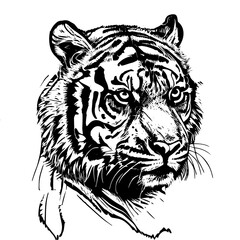 This ink splatz tiger head vector illustration is a bold and striking design, featuring intricate details of the tiger's fur, whiskers, and stripes.