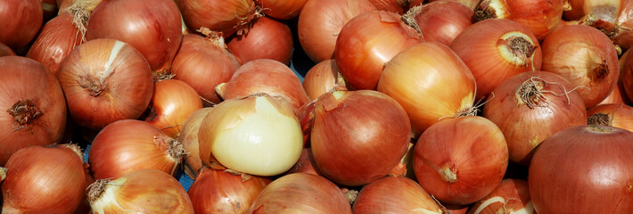 organic dried onions at the market stall