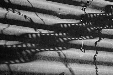 black and white photograph of filmstrip and barbed wire.The theme of censorship in art
