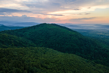 Aerial view of green pine forest with dark spruce trees covering mountain hills. Nothern woodland scenery from above