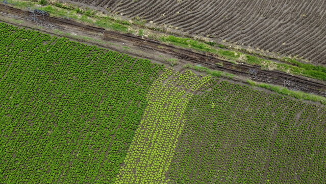 Vivid colors that highlight nature and the culture of planting.
Terrain, nature, landscape.