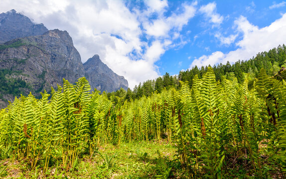 Scenic landscape view Tunda bhuj during Pin Parvati  trek in parvati valley , Himachal Pradesh, India.